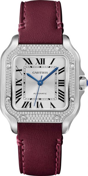 SANTOS DE CARTIER