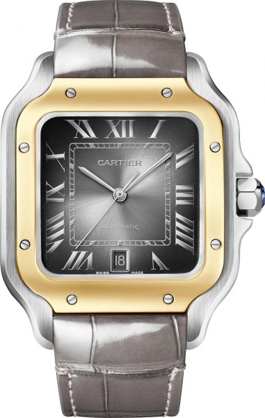SANTOS DE CARTIER