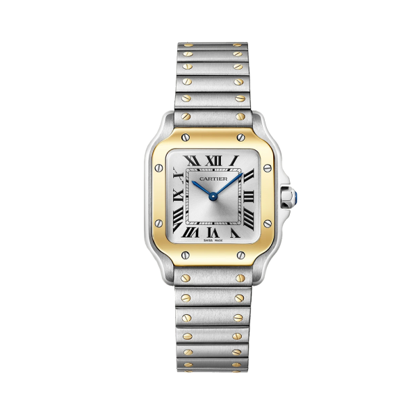 Santos de Cartier kleines Modell