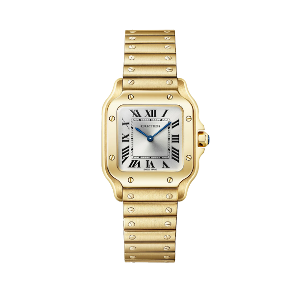 Santos de Cartier kleines Modell